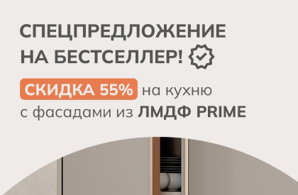 Cпецпредложение на бестселлер!